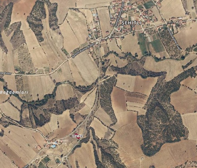 Fotoğraf
